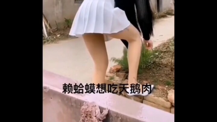 高质量沙雕人类迷惑行为大赏