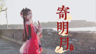 今天这个日子，是不是该寄个明月了？