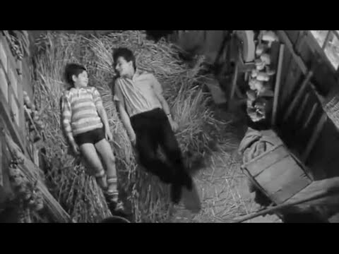 TRAILER MOVIE BL PRANCIS - THE SPECIAL FRIENDSHIP 1964 | 18+ | LINK ON DESCRIPTION