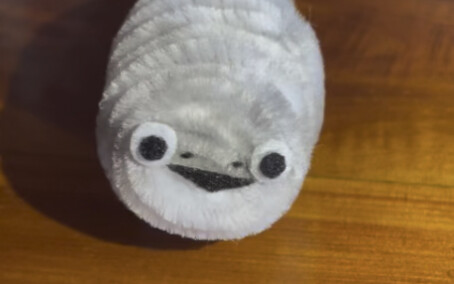 كتكوت؟ لكن ساكافان السلحفاة! (◉ ´▽｀◉)