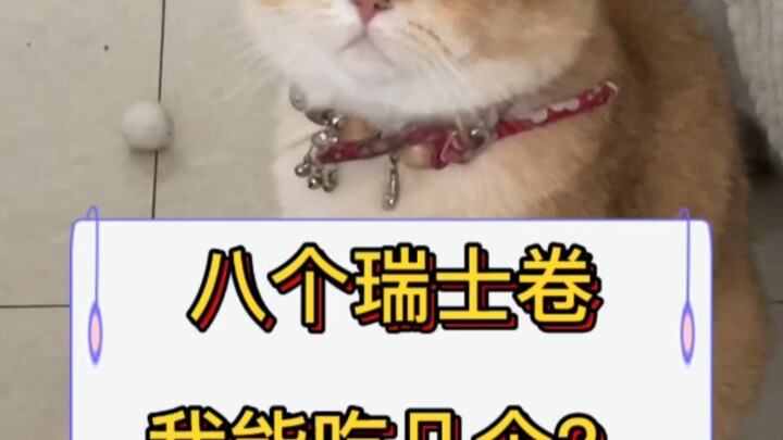 When you’ve got two adorable, gluttonous little cats…