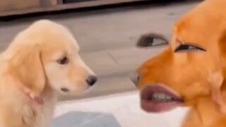 الجد والحفيد مع ثمانمائة حيلة