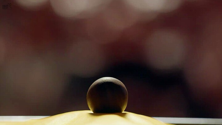 ลูกปัดไม้เล็กๆ ลูกเดียวกลับสามารถชี้ชะตาความเป็นความตายของตระกูลขุนนางผู้ยิ่งใหญ่ได้ทันที