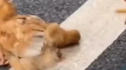 هذه هي المرة الأولى التي أُسحق فيها إلى هذا الحد