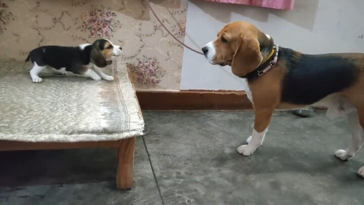 บทสนทนาระหว่างพ่อกับลูกสาวสุดลึกซึ้ง 😂