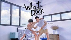 Tình Yêu Hạ Cánh 15