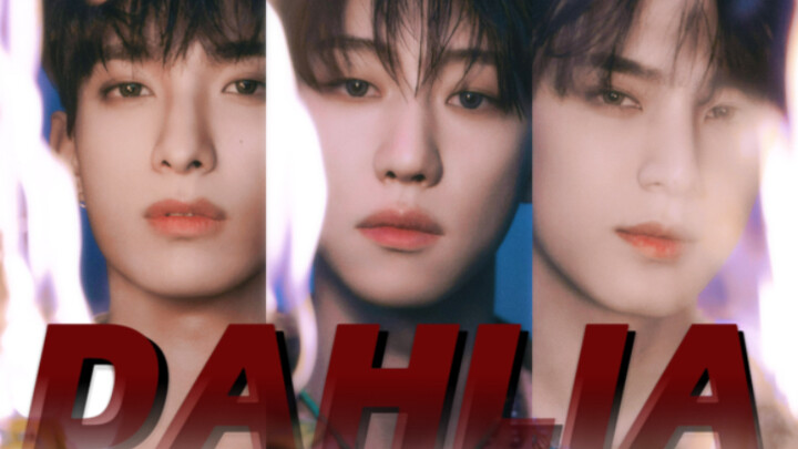 【SVT 97Line】AI Cover - Dahlia Original Song by (G)I-DLE | I’ll Still Love You Without Hesitation