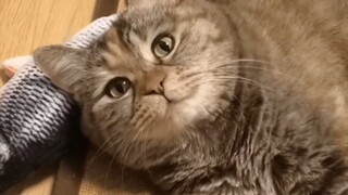 你回来啦？啥时候喂我啊