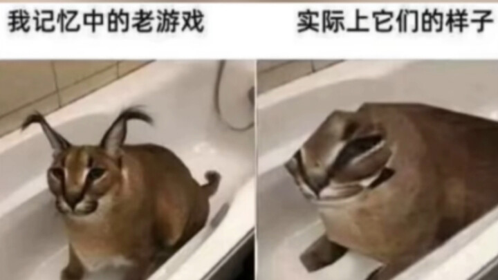 Silly Memes | What Old Games Really Looked Like in Your Memory