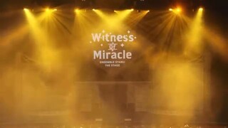 Witness Of Miracle