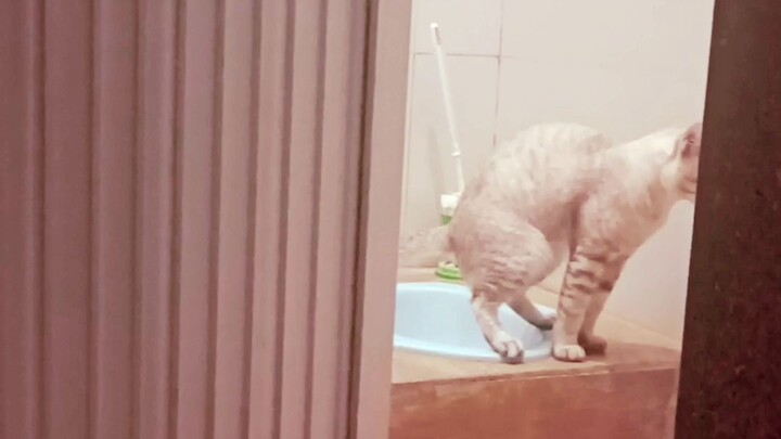 ketika diri sendiri tak dapat di ajk kompromi lagi🤣