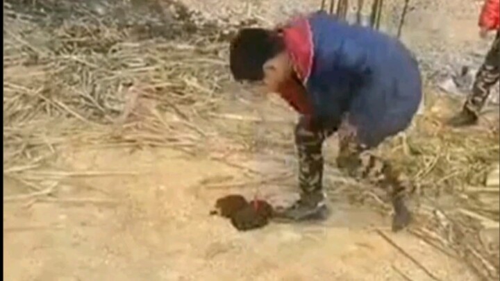 “那些年用炮仗炸过的东西”