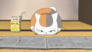 Can you believe it? The cat teacher is actually reading the newspaper