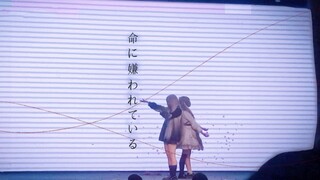 【プロセカ/西伯利亚猫卷】在烤o感动了无数人的identity+命嫌你见过吗