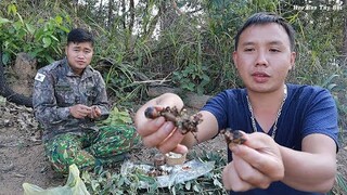 Lên Đồi Canh  Mỏ Vàng Của Bà Con Nông Dân Tây Bắc & Ăn Món Thịt Chim Rừng Nướng | Hoa Ban Tây Bắc