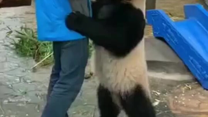 เพื่อชีวิตมันช่างไม่ใช่เรื่องง่ายเลย