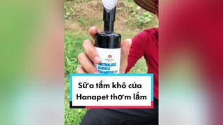 Lâu lắm rồi e Bư mới lên sóng ko biết còn ai quan tâm e ko nữa. cunyeucuadua chó chócon chókhôn chócute chó_cưng chócon chókhôn chómèo xuhuong fyp