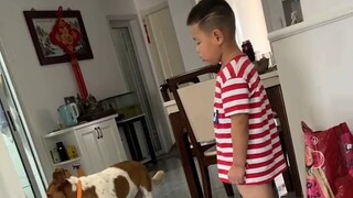 بالضبط! النمرة الأم جعلت الكلب الشرس يرتجف من الخوف!