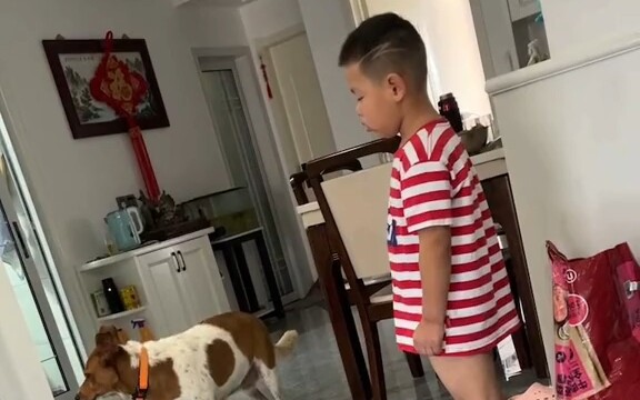 بالضبط! النمرة الأم جعلت الكلب الشرس يرتجف من الخوف!