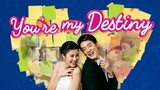 You're My Destiny Episode 9 (TagalogDubbed)