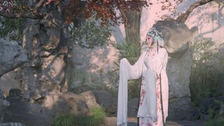 苏州园林 | 园林里的光，穿越姑苏城的前世今生，照到你窗前