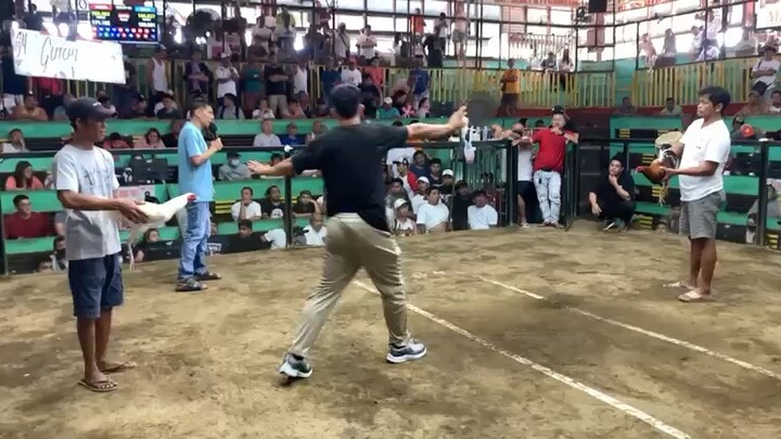 White Kelso (Lose) 2ng Payt