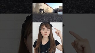 KUCING INI SELALU SEMBUNYI DI LOBANG ATAP, TERNYATA KARNA INI... |Miwanda Tanz #viral #shorts