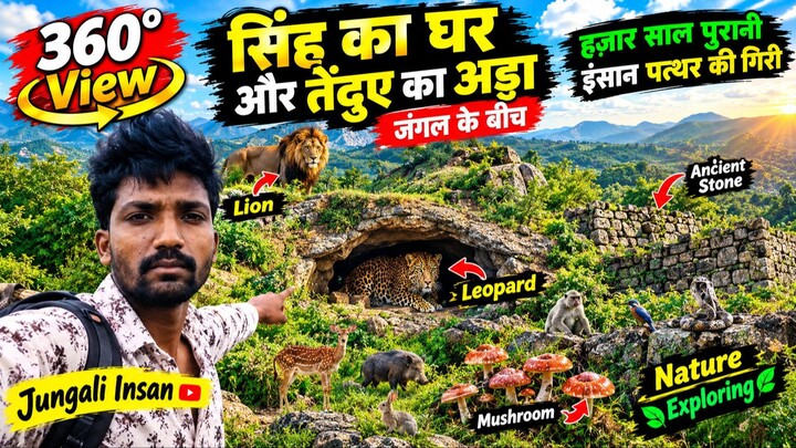 Pahadon Mein Mila Leopard Ka Rahasyamayi Den  _ Ancient Mountain Exploration #na
