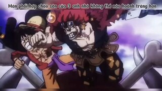 Màn phối hợp chào sân của  anh nhà, không thể hoành tráng hơn #anime #onepiece
