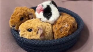 Do they feel like they have batteries installed in their backs?