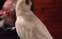 เอริคคือตำนาน