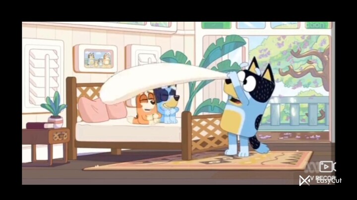 bluey hotel