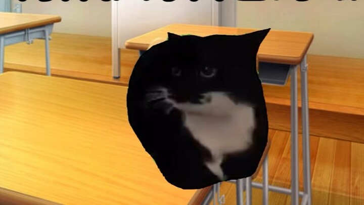 【Cat meme】Metaphysical knowledge: How to protect your own magnetic field