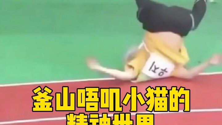 【อีจียุน】แมวปูซานที่ไม่ชอบอ้อนแต่ทำได้ดีมาก ลีออบี~
