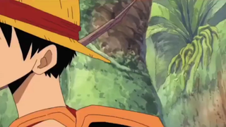 Luffy tự sáng tác bài hát ngu ngốc của mình