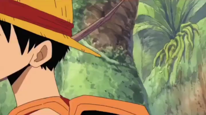 Luffy composes his own stupid song