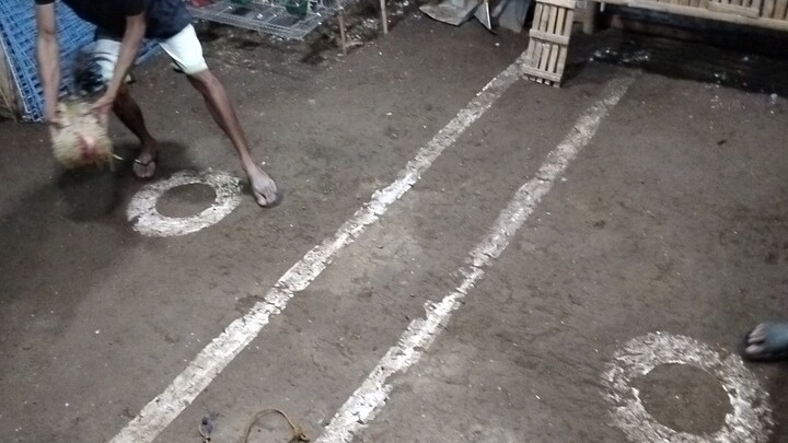 bitaw HEME's super Dom vs HEME's Black hennie