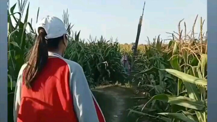 Delivery riders playing a maze game HAHAHA. JK