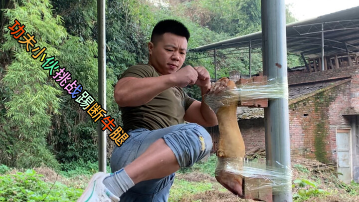 Chàng trai võ thuật thách thức đá gãy chân bò chỉ bằng một cú đá, kết cục sẽ ra sao