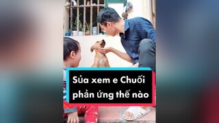 Cả nhà thấy tớ sủa chuẩn ko haha cunyeucuadua chó chócon chókhôn chócute troll treucho haihuoc