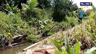 ARIF di danau rumput