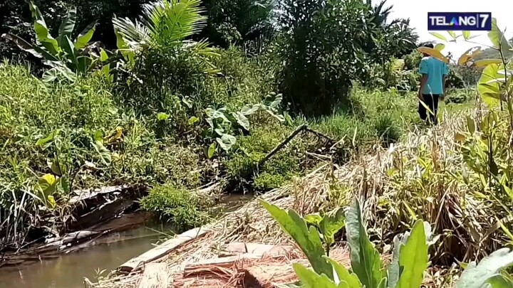 ARIF di danau rumput