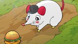 [Endangered Animal Rescue Team] Numb hissing little rat