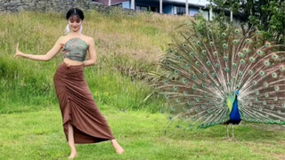 A Dai dance in which the couple dances with the peacock ~ the elder brother shyly turns away... Happ