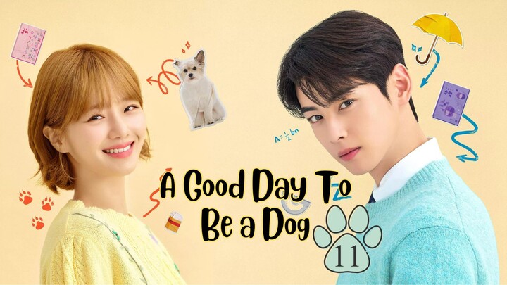 A Good Day to be a Dog EP11 (ENGSUB)