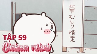 Chiikawa vietsub Tập 59. Ăn Đêm/ Ngày Thi