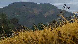 La Tiểu Hắc Chiến Kí 2