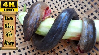 CÔ BA MIỀN TÂY ✅ CHẢ LƯƠN HẤP MƯỚP