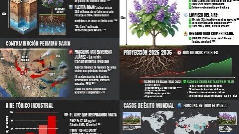English: Juarez Chihuahua México & kiris.org #kiris.org #paulownia #kiri #526143022511