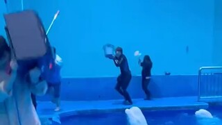الحوت الأبيض: ما الذي يحتجزني أسيرًا لمدة 30 ثانية؟!